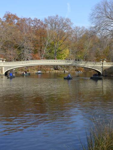 USA_2011-11-20 12-31-29